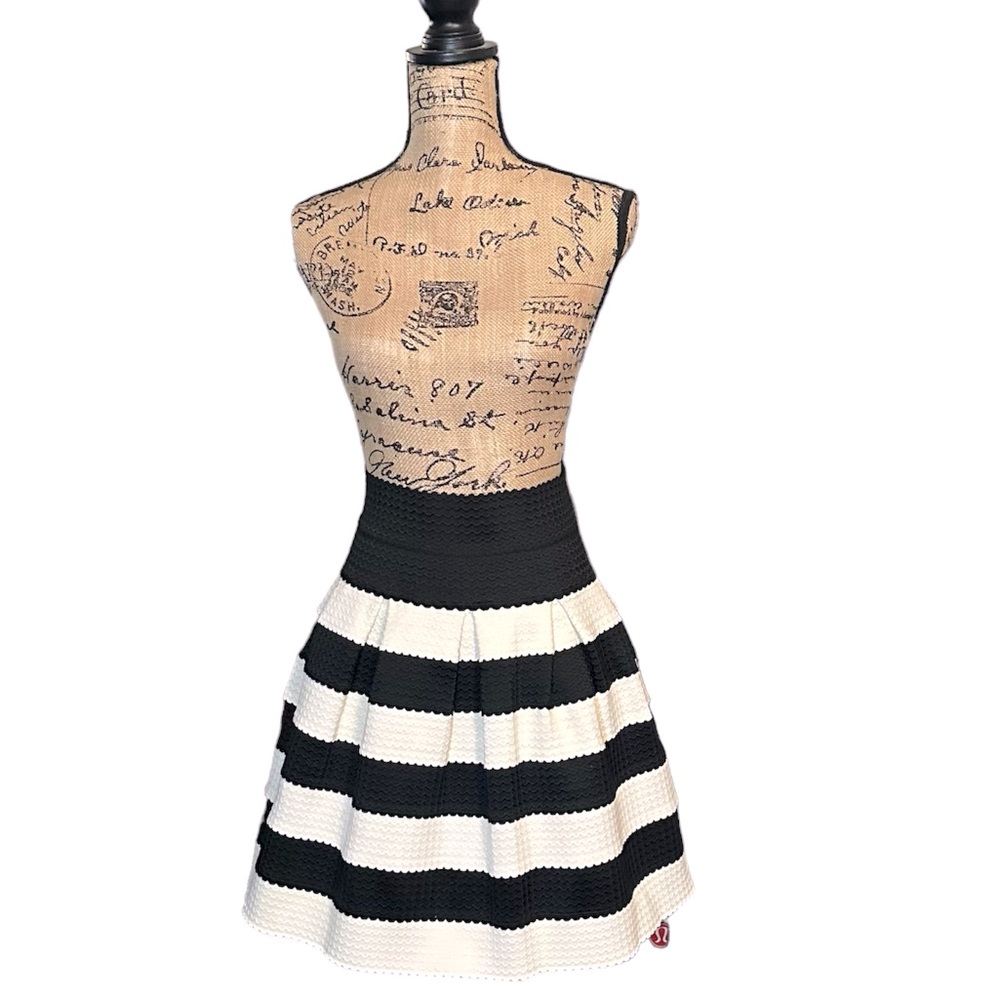 Anthropologie black/white striped skirt XS/S